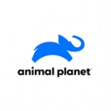 Animal Planet Goes Behind The Scenes At San Diego Zoo, Safari Park in New Series