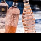 Provence Rose Group Created to Meet Premium Rose Demand in US