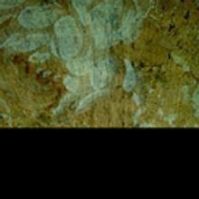 BoHo Announces 2019 Season