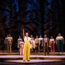BWW Review: Mesmerizing, Gorgeous THE COLOR PURPLE: THE MUSICAL Makes Stop at Civic C