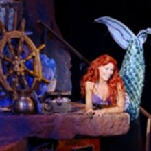 Come 'Under the Sea' with THE LITTLE MERMAID at Music Theatre Wichita