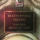 BWW Blog: Hello from BOOK OF MORMON!