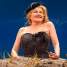 BWW Review: Dianne Wiest Brings On the Sun in Beckett's HAPPY DAYS