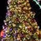 Celebrate The Most Wonderful Time Of The Year With 12 Gifts From Caesars…