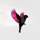 Jump, Little Children Announces New LP SPARROW, Due 9/14 & Shares First New Song in…