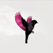 Jump, Little Children Announces New LP SPARROW, Due 9/14 & Shares First New Song in…