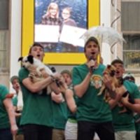 VIDEO: Gavin Creel, Charlie Stemp (and a Whole Bunch of Puppies) Take Over Shubert… Video