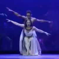 VIDEO: Welcome to Salgado's magic-realism world of ELLA ES COLOMBIA Video