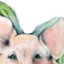 Casting Notice: MISMATCH.COM from Pigs Do Fly Productions At Empire Stage