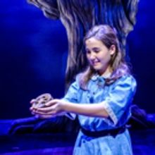 BWW Review: TUCK EVERLASTING charms at CTM