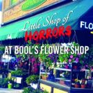 Site-Specific LITTLE SHOP OF HORRORS To Play at a Flower Shop