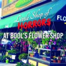 Site-Specific LITTLE SHOP OF HORRORS To Play at a Flower Shop
