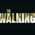 AMC Greenlights Third THE WALKING DEAD Spinoff