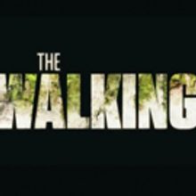 AMC Greenlights Third THE WALKING DEAD Spinoff