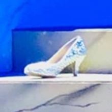 BWW Review: Rodgers & Hammerstein's CINDERELLA Enchants at the Show Palace Dinner The