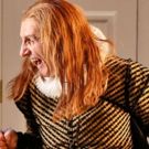 MTC's TWELFTH NIGHT Adds Four New Performances