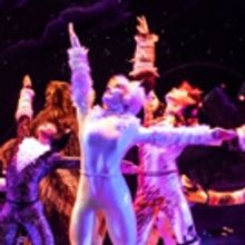 BWW Review: CATS is Still the Cat's Meow