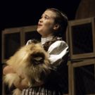 Photo Flash: Bainbridge Performing Arts (BPA) presents THE WIZARD OF OZ
