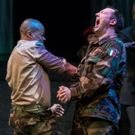 BWW Review: The Stratford Festival's OTHELLO Offers Strong Performances and a Tragic…