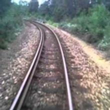 THE BUCKFEVER UNDERGROUND LIVE Comes to Alexander Upstairs