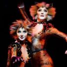 BWW Feature: CATS at RAI THEATER: time to make some new CATS Memories during the…