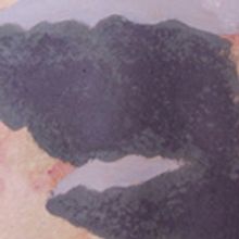 Waukesha State Bank Art Gallery presents Works from Waukesha South High School