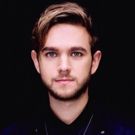 Listen To THE MIDDLE From Zedd, Maren Morris and Grey
