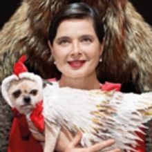 Isabella Rossellini's LINK LINK CIRCUS Comes to The Broad Stage