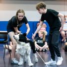 Photo Flash: Inside Rehearsal For the UK Premiere of GOODNIGHT MISTER TOM
