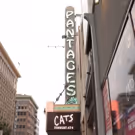 VIDEO: CATS Opens at the Hollywood Pantages in Los Angeles