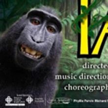 Featuring Over 100 Talented Berkshire Youth, TARZAN Begins Today