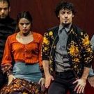 Photo Flash: Inside The 2018 FLAMENCO FESTIVAL at New York City Center