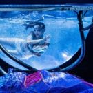 Cirque Du Soleil Returns To The Philadelphia Area With AMALUNA
