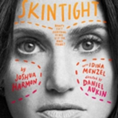 Photo Flash: First Look at Idina Menzel in New Artwork for SKINTIGHT!