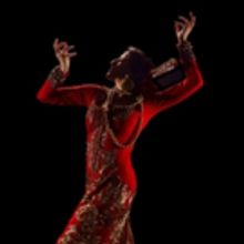 María Pagés Compañía Llega A México Para Cimbrar El Palacio De Bellas Artes Con 