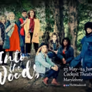 Stellar Cast Announced for INTO THE WOODS at The Cockpit