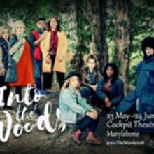 Stellar Cast Announced for INTO THE WOODS at The Cockpit