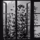 FotoFocus Biennial Announces Program Week