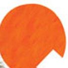 Centenary Stage Company Presents NexttStage Repertory: AVENUE Q
