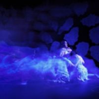 BWW Review: BEARS is a Striking Look at the Struggle and Similarities Between Humanit Photo