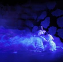 BWW Review: BEARS is a Striking Look at the Struggle and Similarities Between Humanit