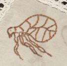Mad Horse Theatre Company presents ONE FLEA SPACE, by Naomi Wallace