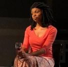 BWW Review: Nashville Rep's Beautifully Acted Take on Lydia R. Diamond's SMART PEOPLE
