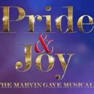 PRIDE & JOY, The Marvin Gaye Musical, Comes to The National Theatre