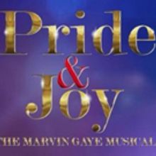 PRIDE & JOY, The Marvin Gaye Musical, Comes to The National Theatre