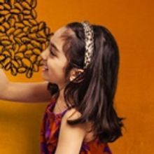 Guest Blog: Shamser Sinha On THREE SAT UNDER THE BANYAN TREE