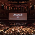 BWW Review: AMADEUS LIVE, Royal Albert Hall