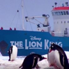 April 1 - THE LION KING Will Become First Musical to Play Seven Continents- Antarctic