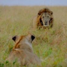 VIDEO: BBC America Releases First-Look for DYNASTIES