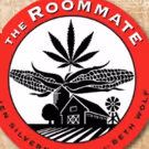 Citadel To Stage Chicago Suburban Premiere Of Jen Silverman's Comedy THE ROOMMATE